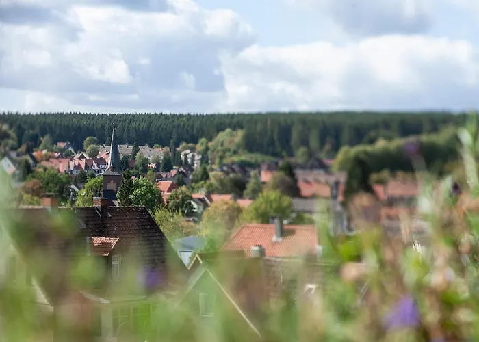Aparthotel Berg Und Tal & Braunlage